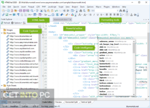 Blumentals HTMLPad 2020 Direct Link Download-GetintoPC.com