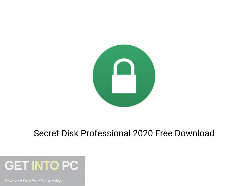 Secret Disk Professional 2023.04 download the last version for ipod