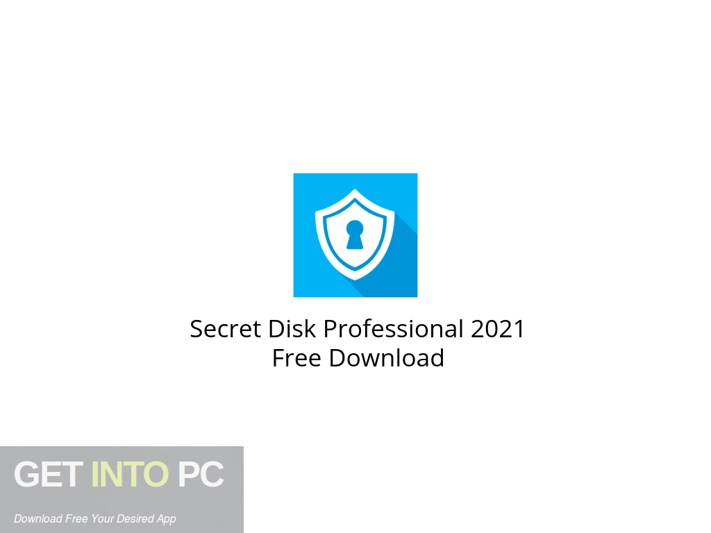 free downloads Secret Disk Professional 2023.06